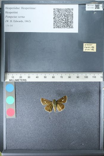Media type: image;   Entomology 151860